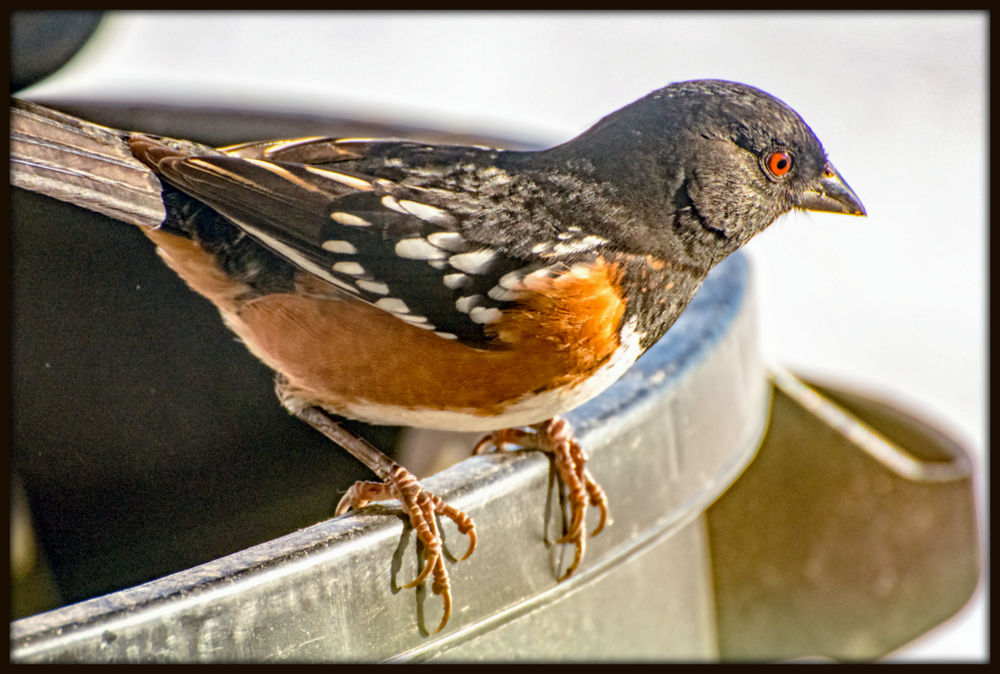 _DSC4142-Edit-Edit.jpg