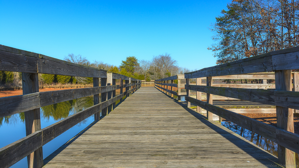 _DSC4154-Edit.jpg