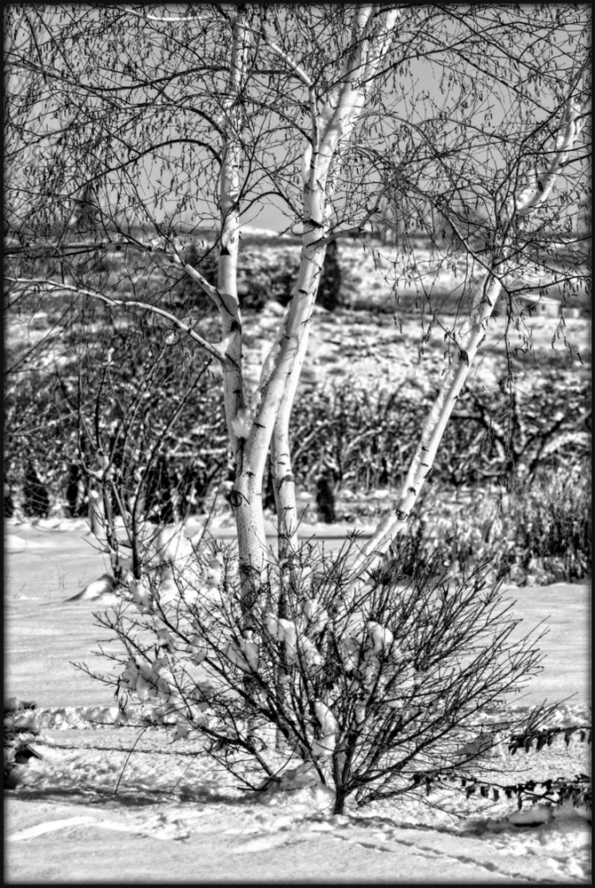 _DSC4168-Edit-Edit-001.jpg