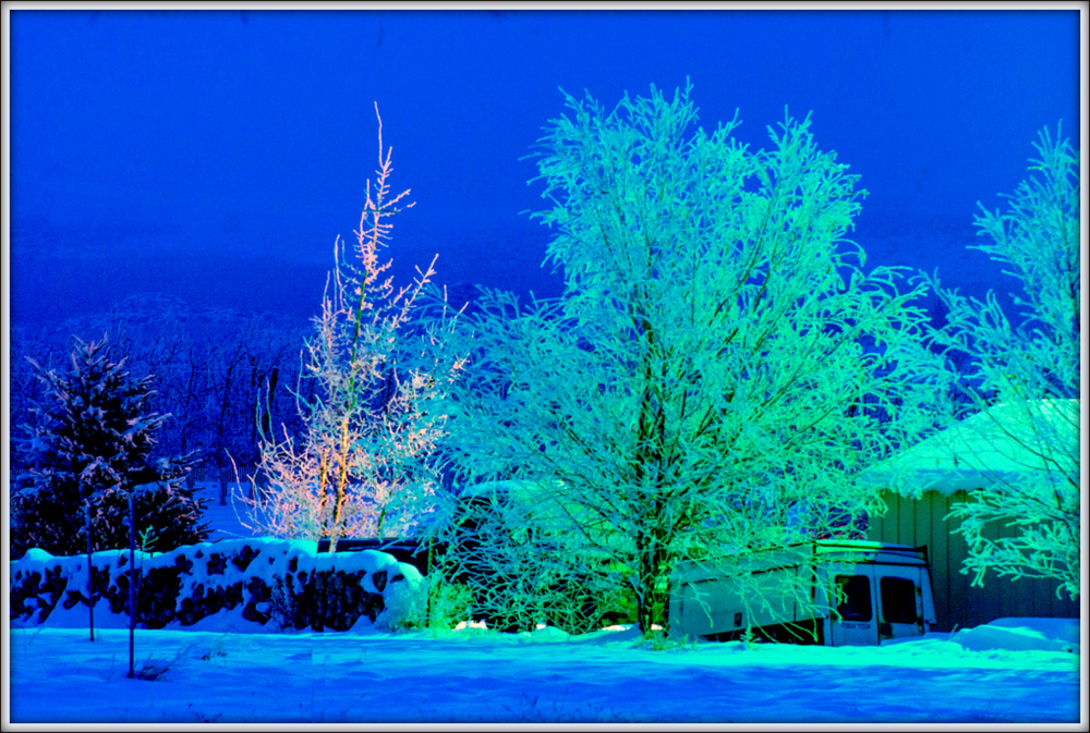 _DSC4175-Edit-Edit.jpg