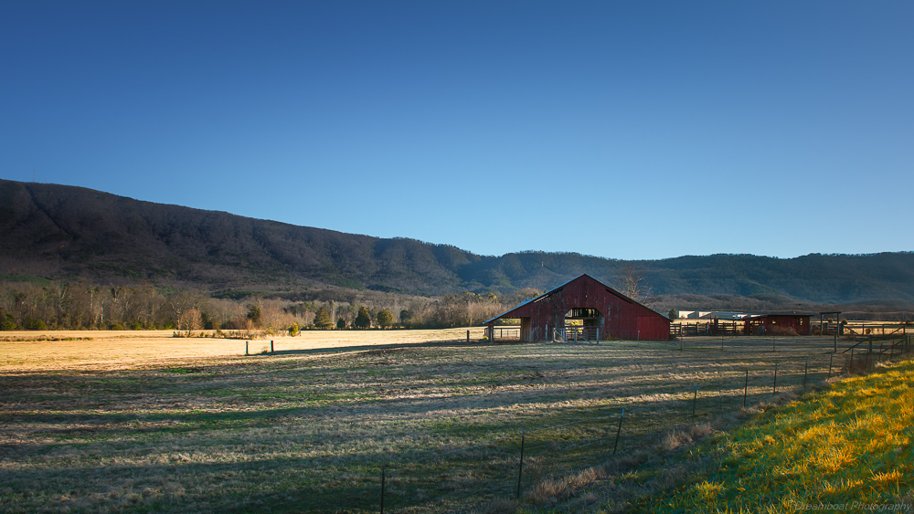 _DSC4176-Edit-2.jpg