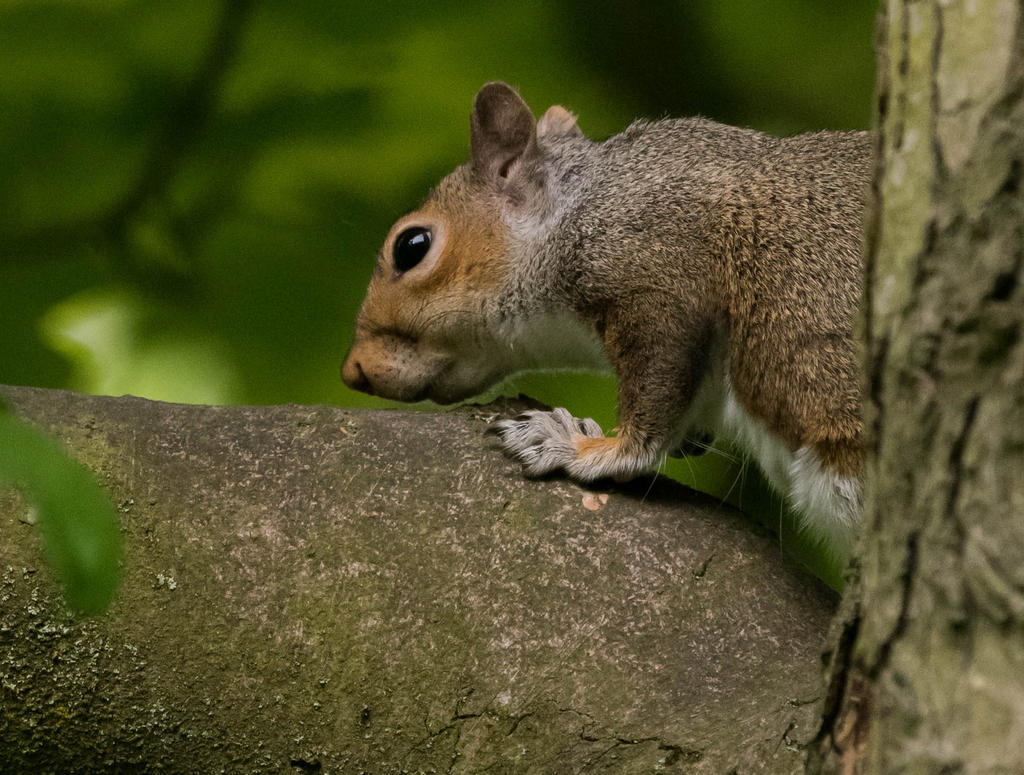 _DSC4179.jpg