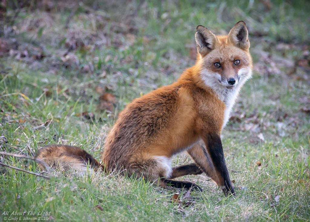 _DSC4229 low res.jpg