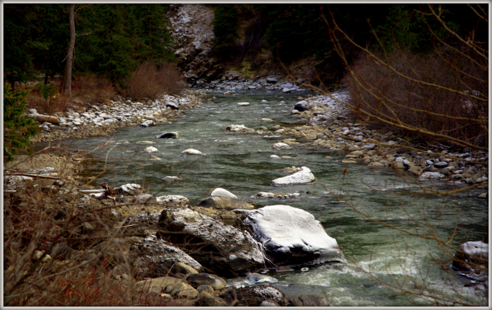 _DSC4255.jpg