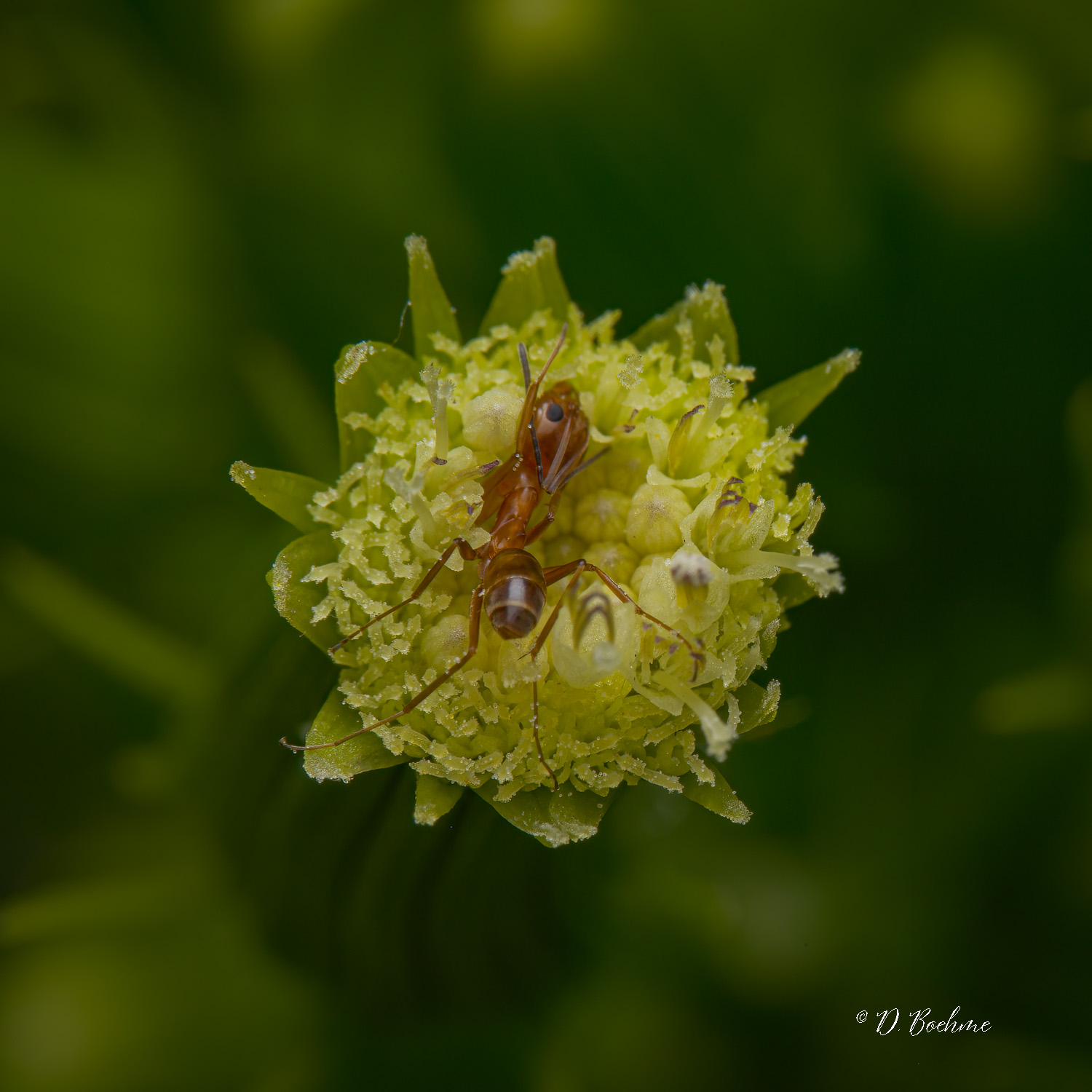 _DSC4314-SharpenAI-Softness.jpg
