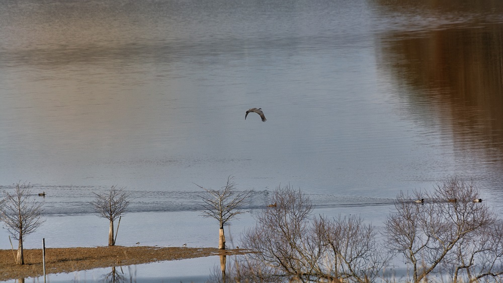 _DSC4403-Edit-2.jpg