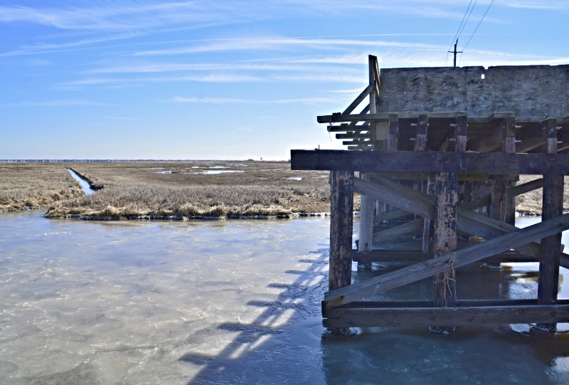 _DSC4419_zps5d1a68b5.jpg