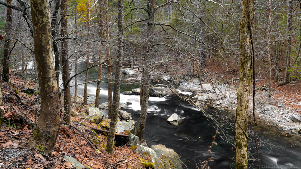 _DSC4445-Edit-2.jpg