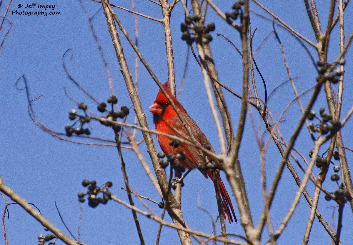 _DSC4446_3.jpg