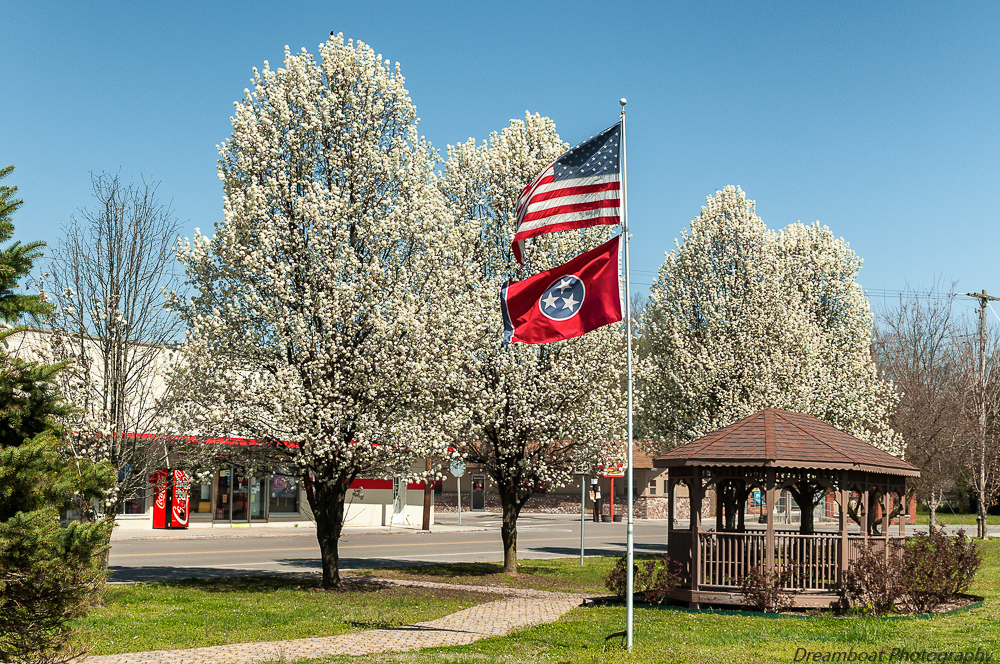 _DSC4503-Edit.jpg