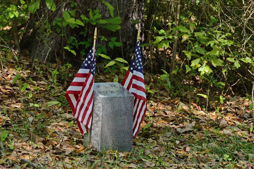_DSC4514.jpg
