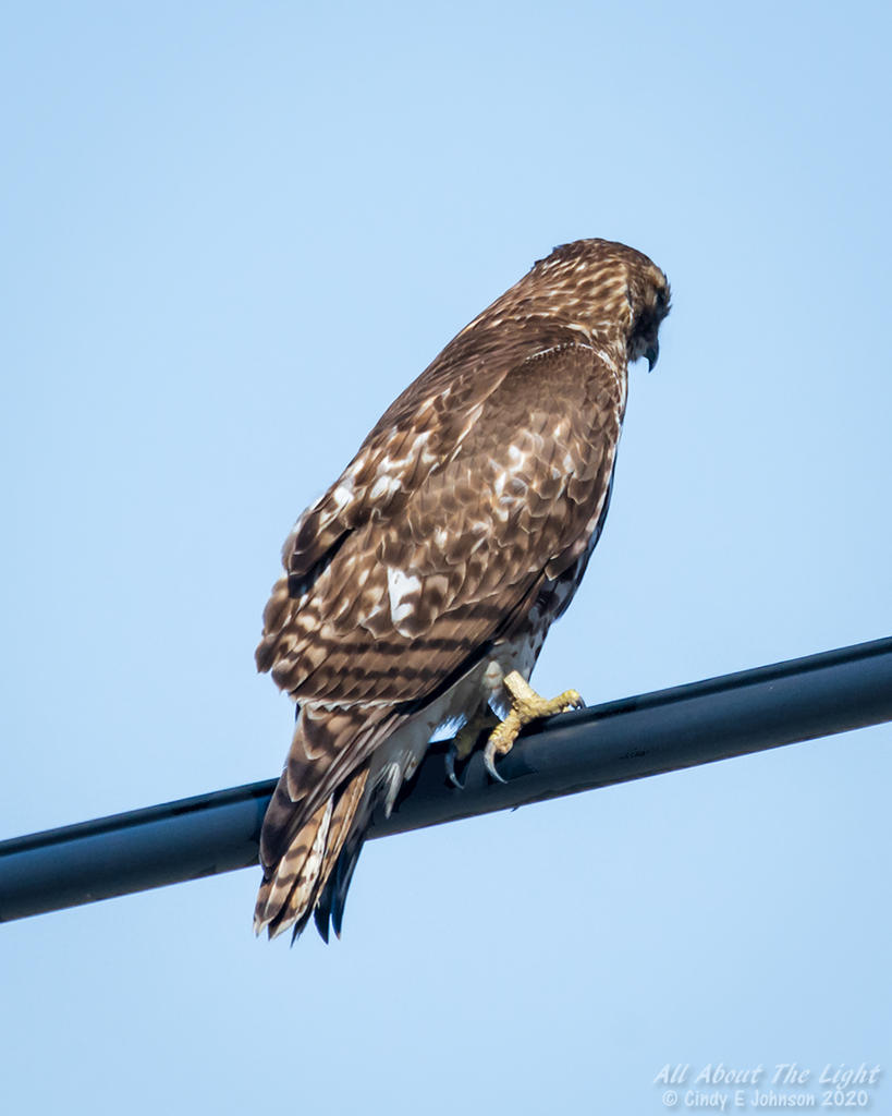 _DSC4519 low res.jpg