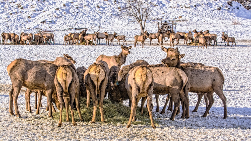_DSC4527-Edit-Edit.jpg