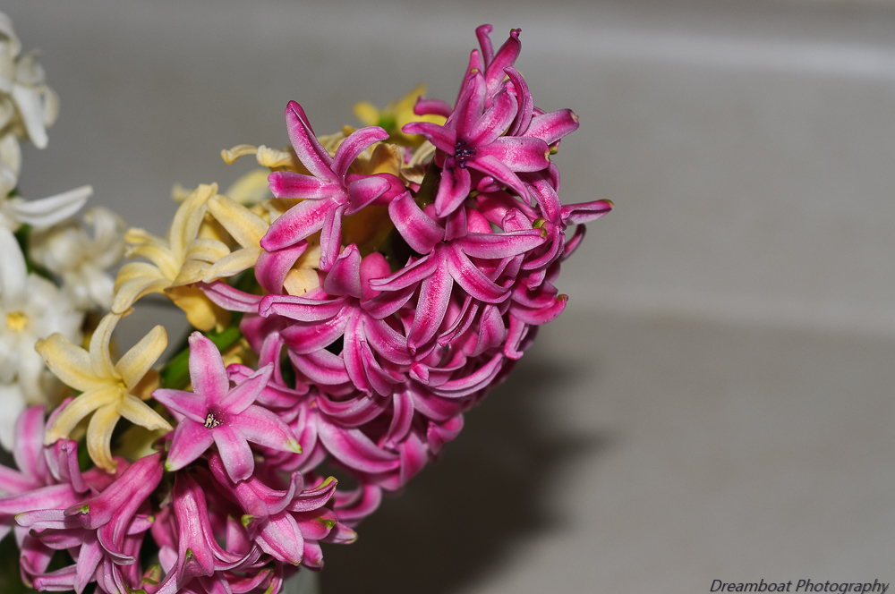 _DSC4530-Edit.jpg