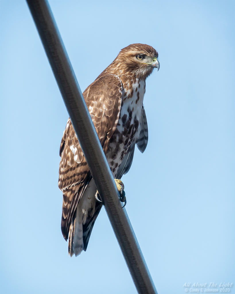 _DSC4533 low res.jpg