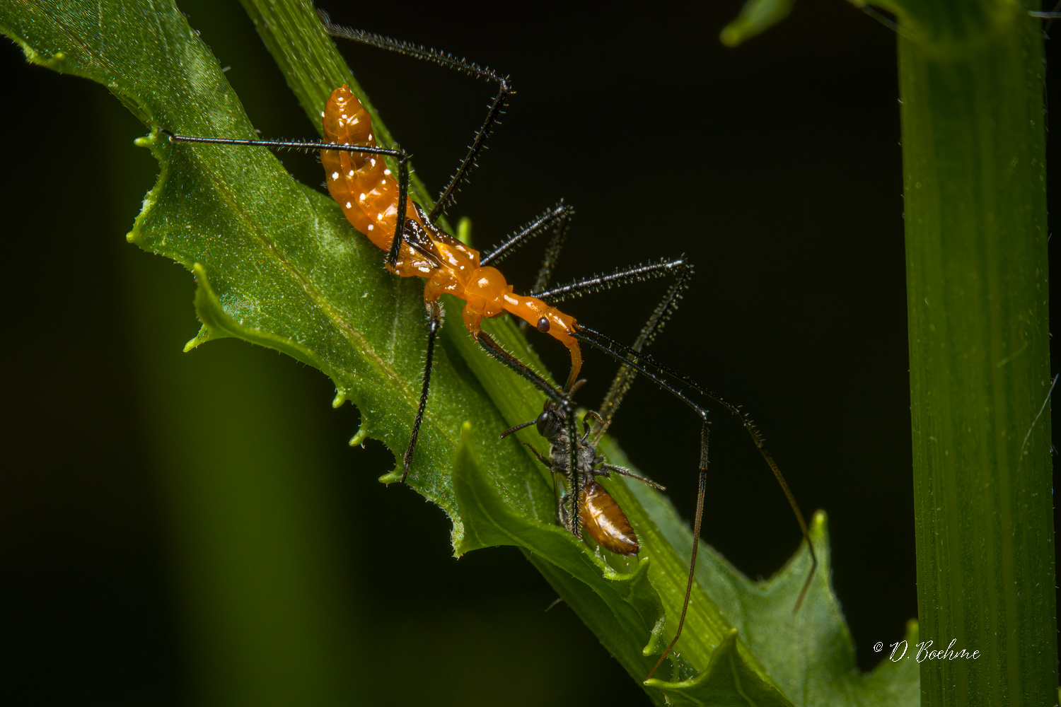 _DSC4677-SharpenAI-Focus-2.jpg