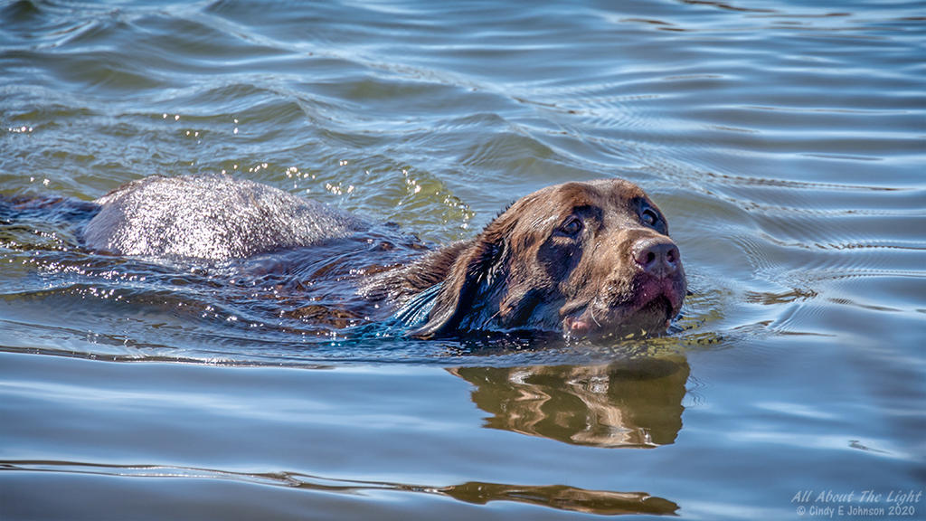 _DSC4686 low res.jpg