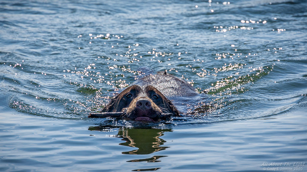 _DSC4696 low res.jpg