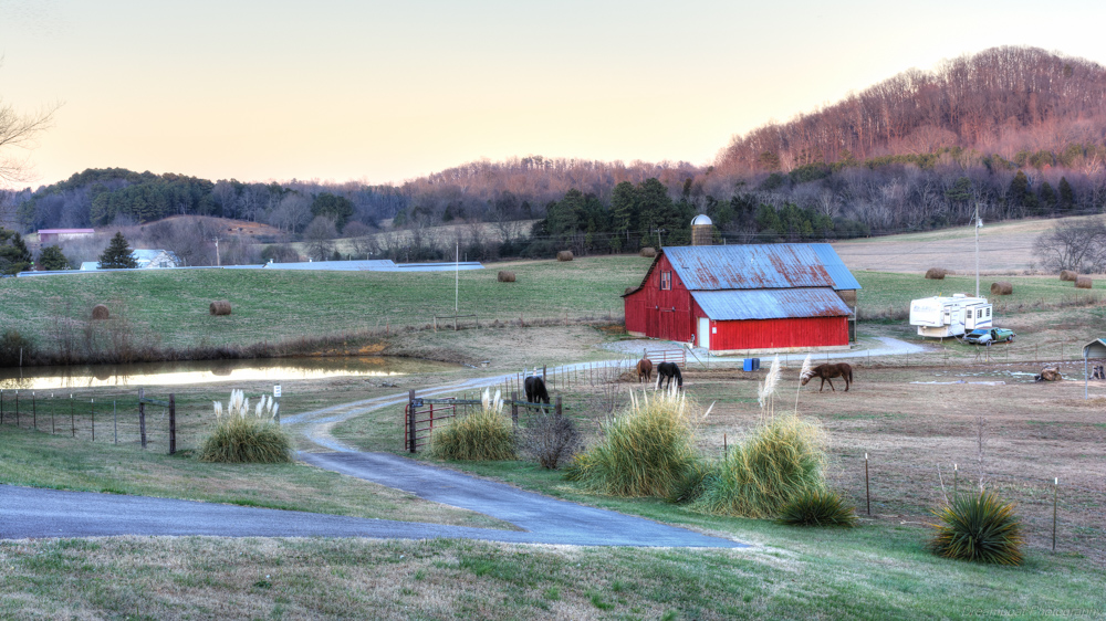 _DSC4733-Edit.jpg