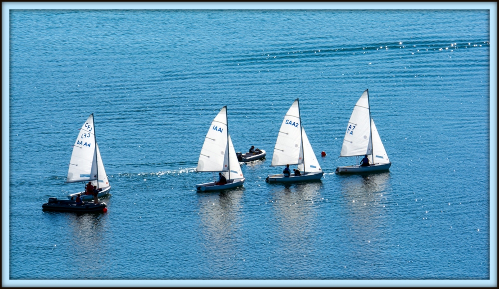 _DSC4787.jpg