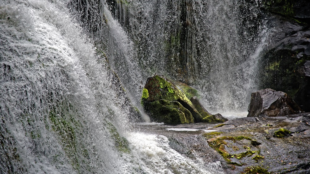 _DSC4830_DxO.jpg