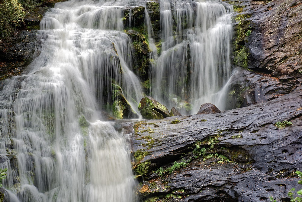 _DSC4845_DxO.jpg
