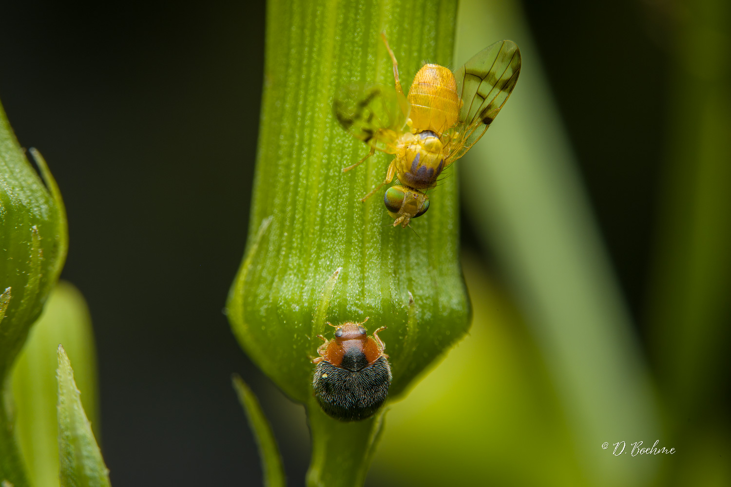 _DSC4911-SharpenAI-Focus-2.jpg