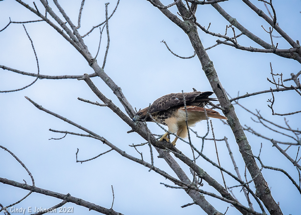 _DSC4949 low res.jpg