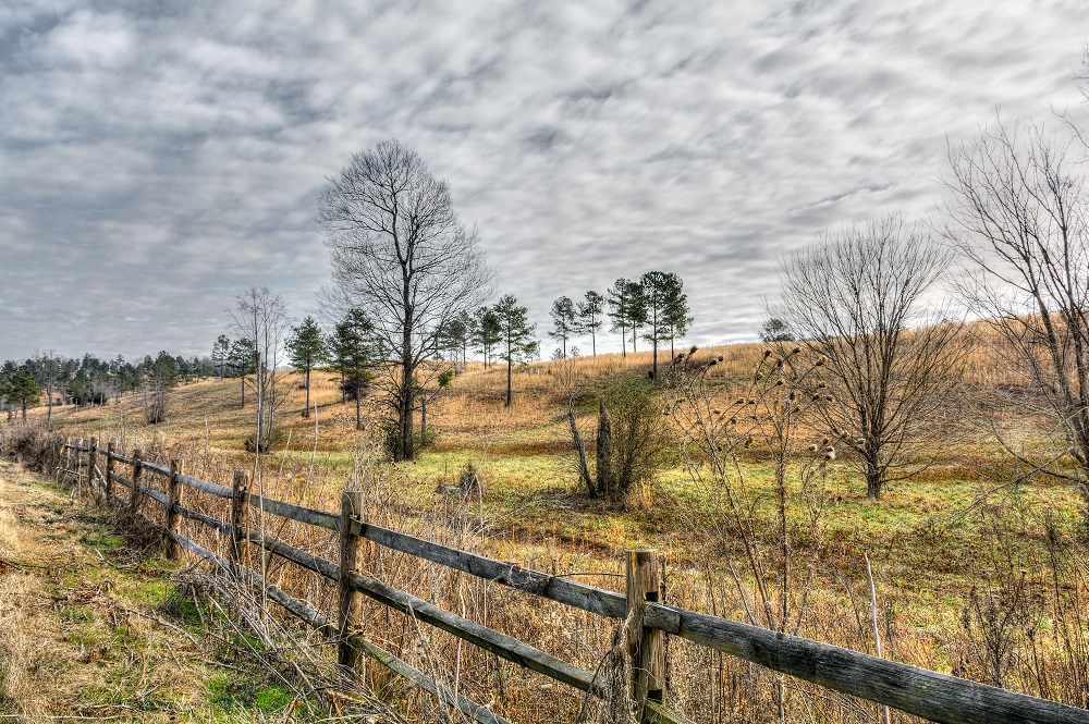 _DSC4981-Edit.jpg