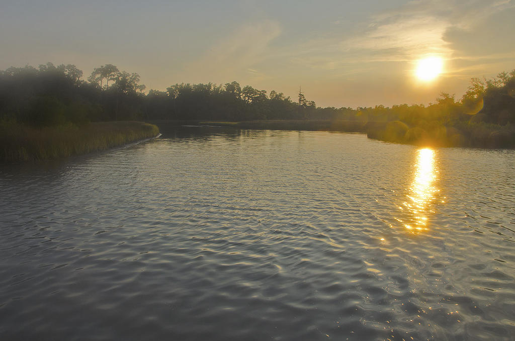 _DSC5002.jpg