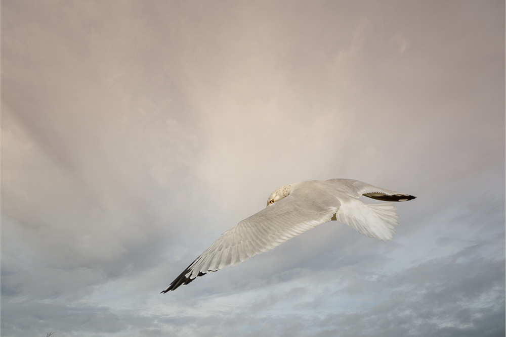 _DSC5004-Edit-2.jpg