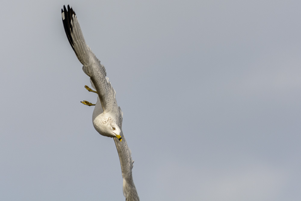 _DSC5005-Edit-2.jpg