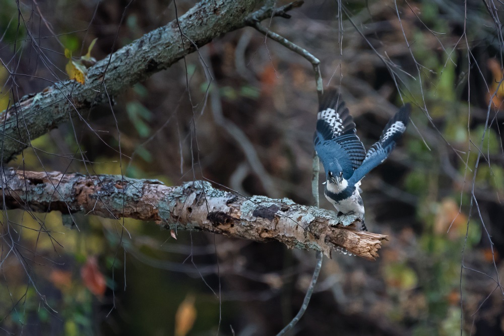 _DSC5026-Edit.jpg