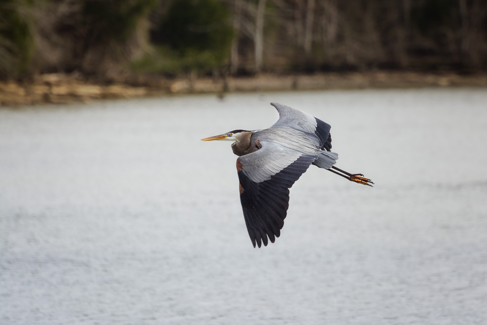_DSC5041-Edit.jpg