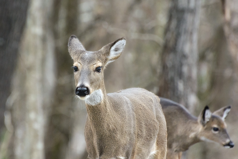 _DSC5142-Edit.jpg