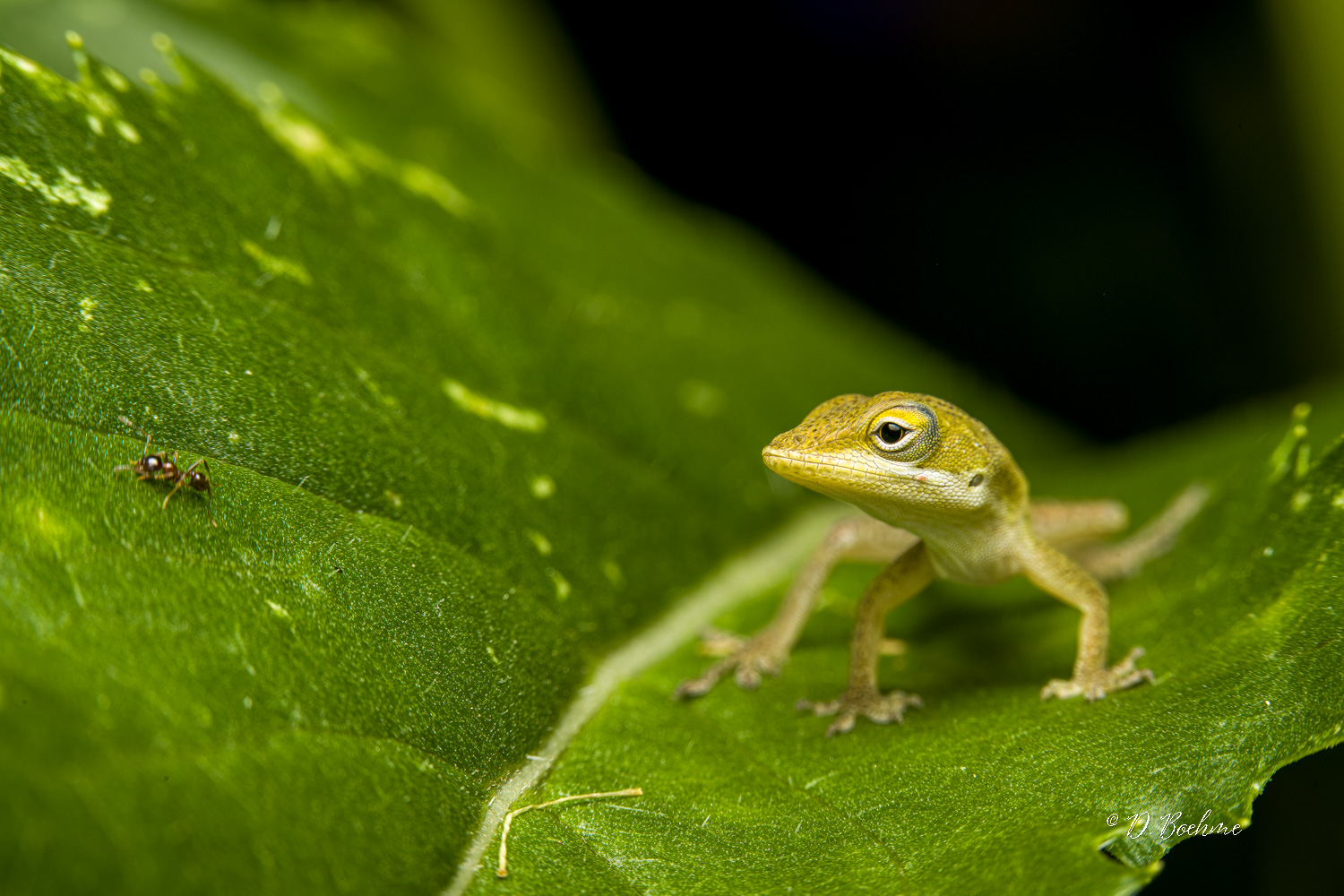 _DSC5187-SharpenAI-Focus.jpg