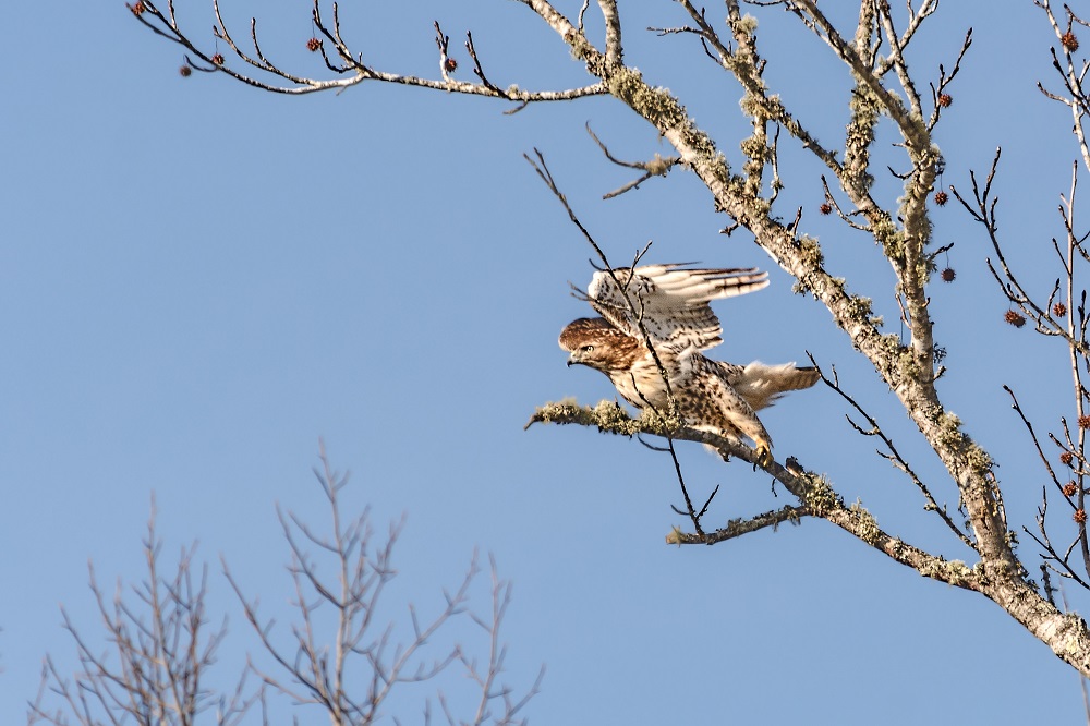 _DSC5202-Edit.jpg