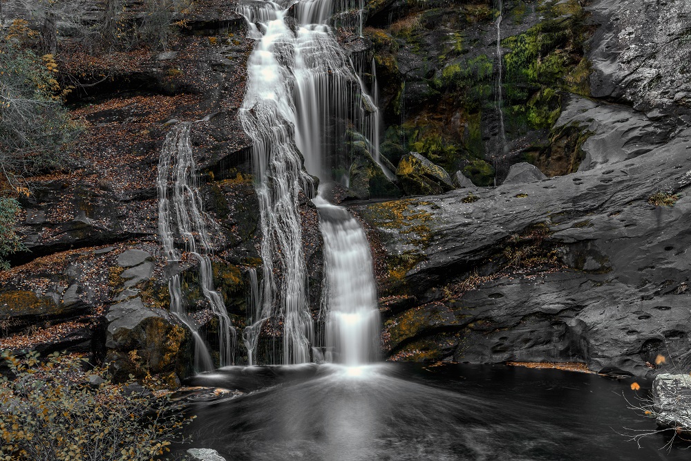 _DSC5229-Edit.jpg