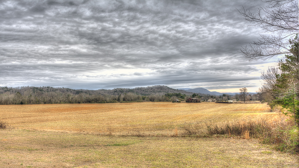 _DSC5303-Edit.jpg