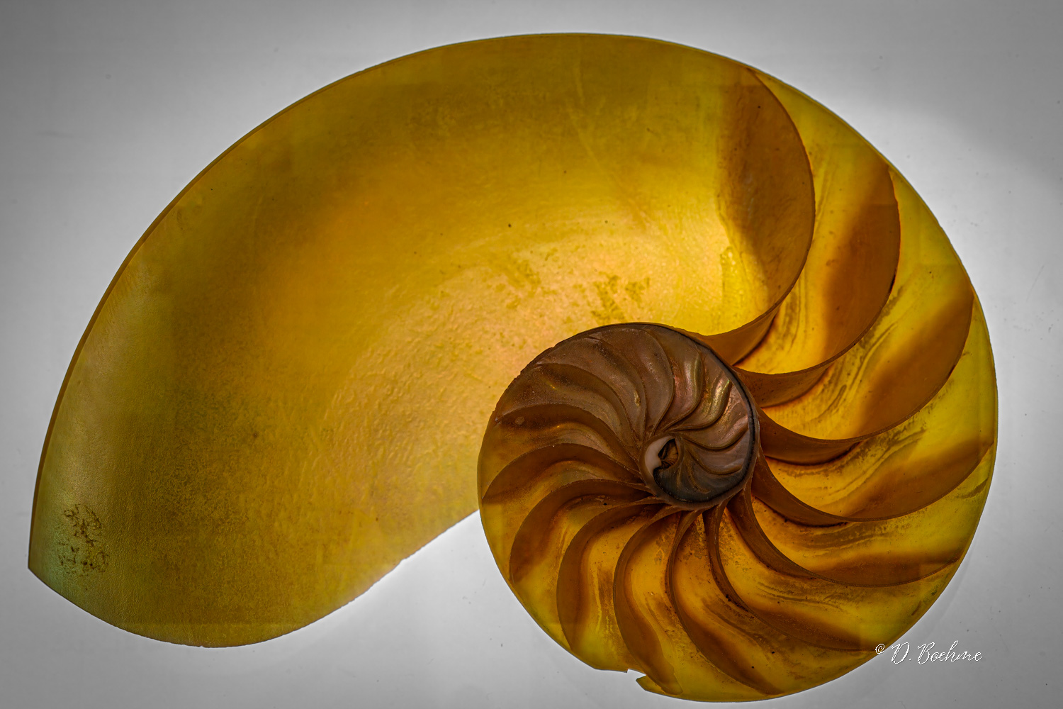 _DSC5309-topaz-denoiseraw-sharpen-4.jpg