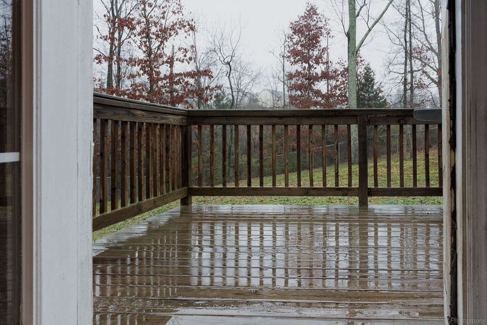 _DSC5317-Edit.jpg