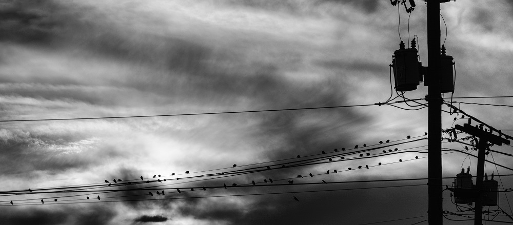 _DSC5349-Edit.jpg