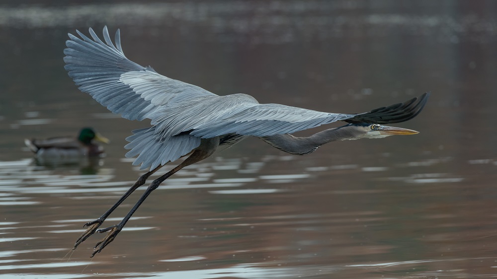 _DSC5386-Edit.jpg