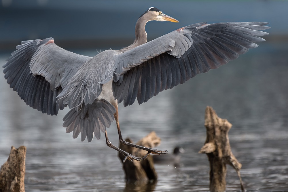 _DSC5386--Edit.jpg