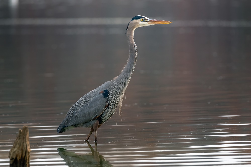 _DSC5412-Edit.jpg