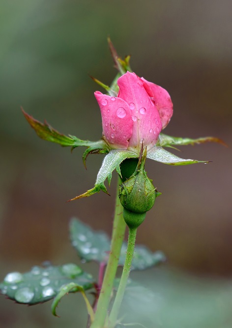 _DSC5436-Edit.jpg