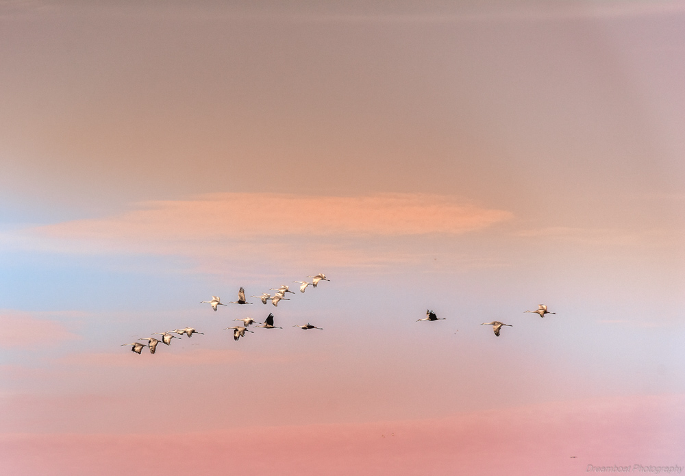 _DSC5445-Edit.jpg