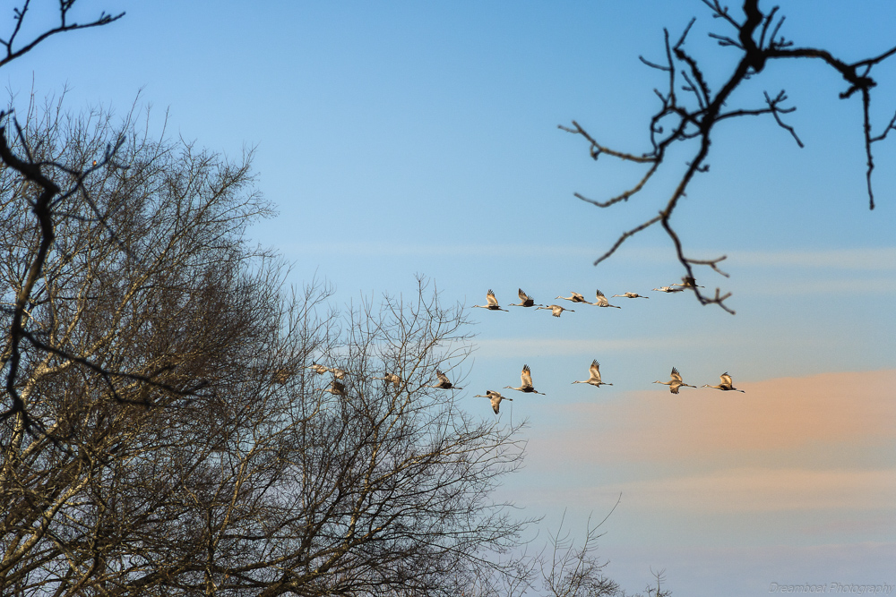 _DSC5447-Edit.jpg