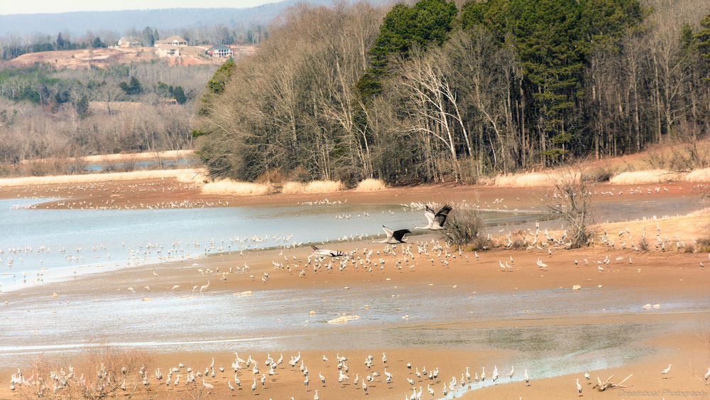 _DSC5487-Edit.jpg