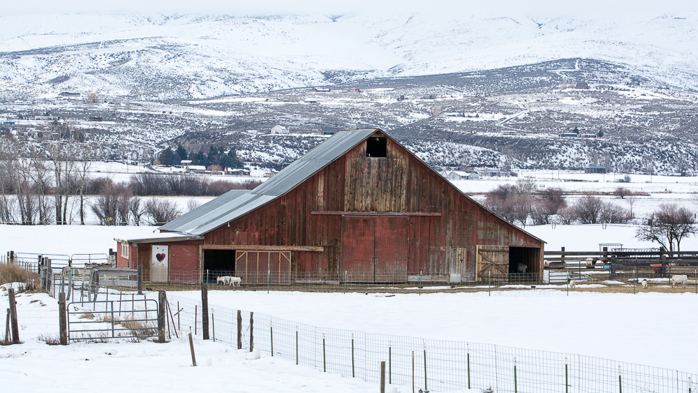 _DSC5489.jpg